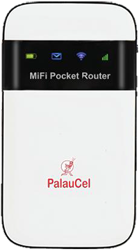 Pocket Wifi Device
